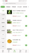 好多鱼立现