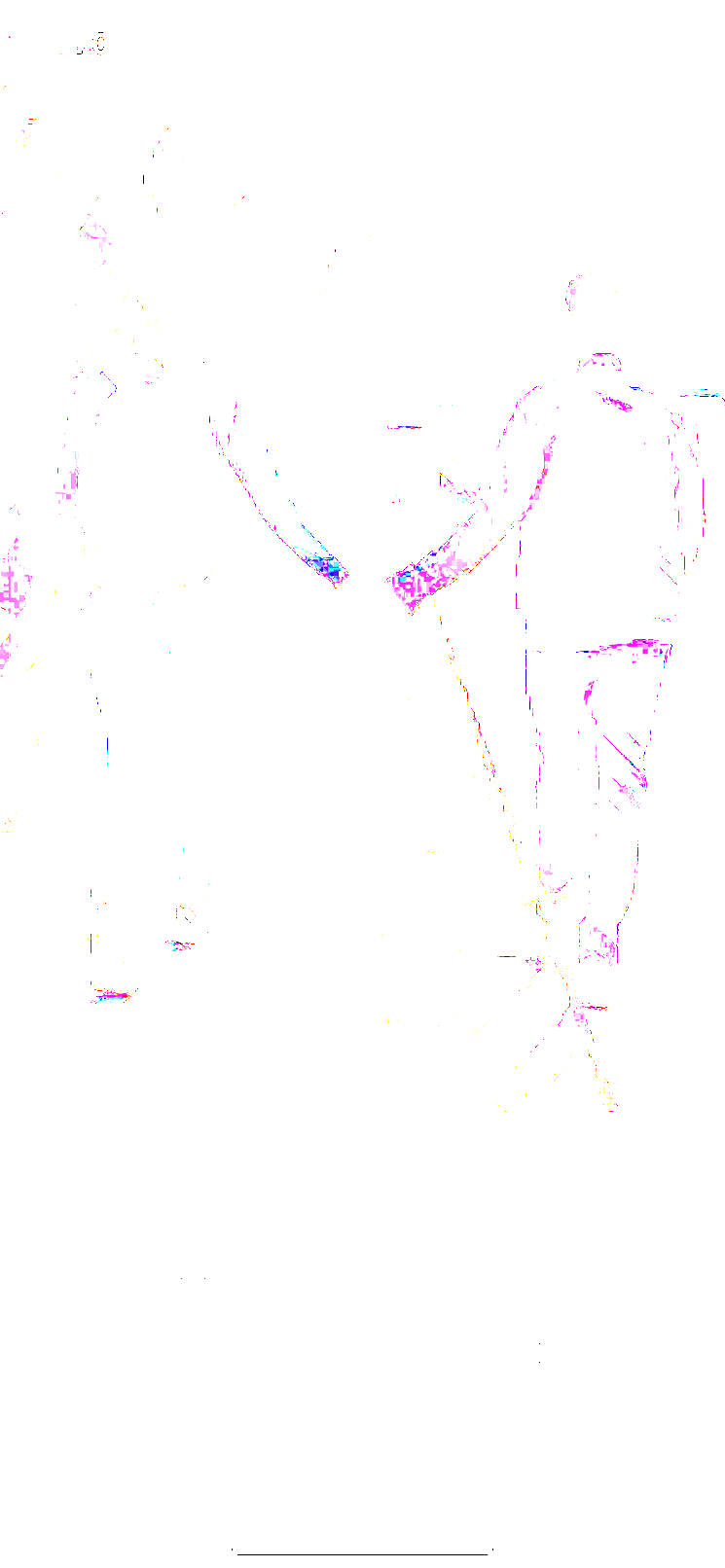 隐形画家stealth painter