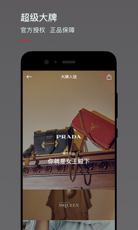 魅力王破解版