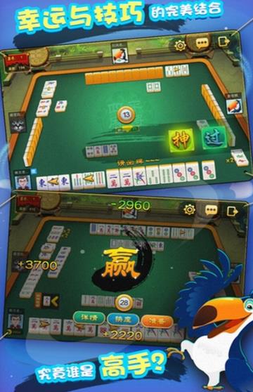 心悦海南麻将