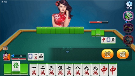 龙虎大战软件安装