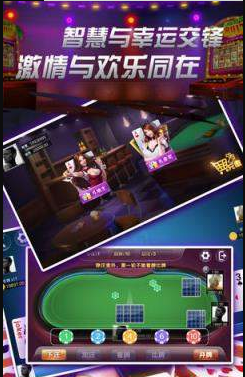 双升级免费版两副牌