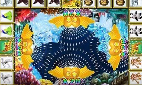 老虎机单机版安装最新版