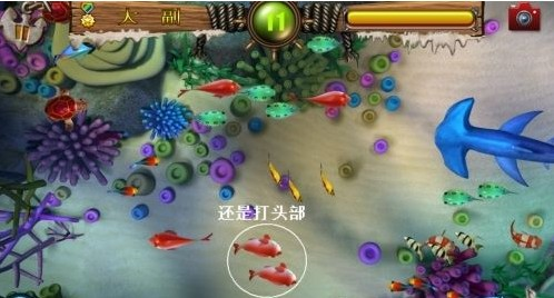 街机捕鱼达人免费