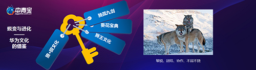 中青宝荣获2020年度5G云登云奖等