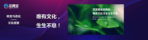 中青宝荣获2020年度5G云登云奖等