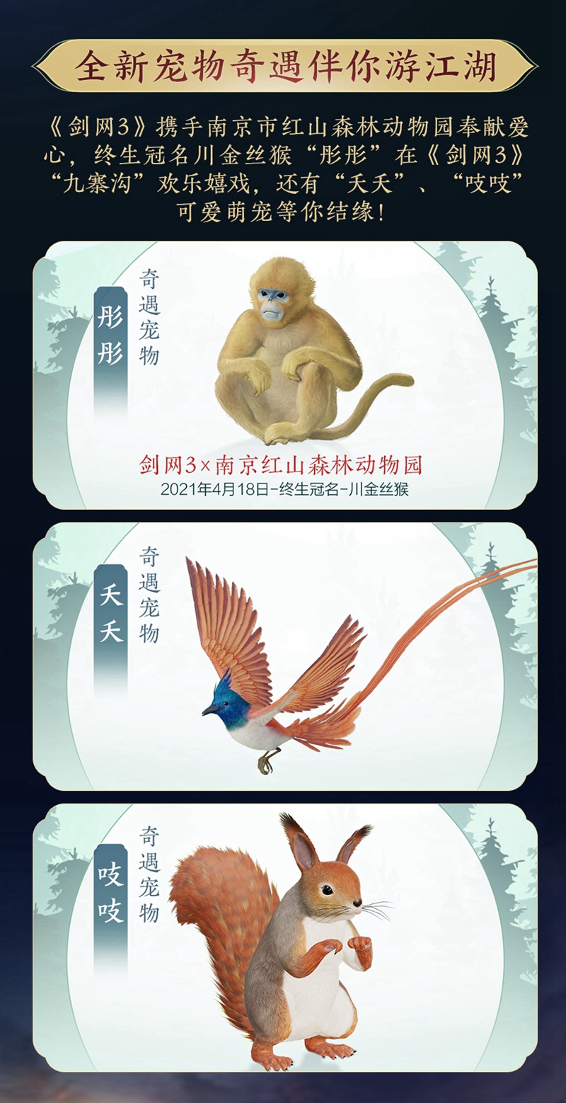 剑网3双人轻功,剑网3：双人轻功，穿越江湖的梦幻之旅