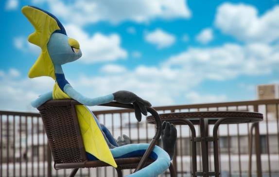 宝可梦大冒险食谱必出神兽,宝可梦大冒险食谱揭秘：必出神兽的神秘配方！