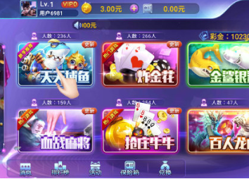 天天十三水官网版