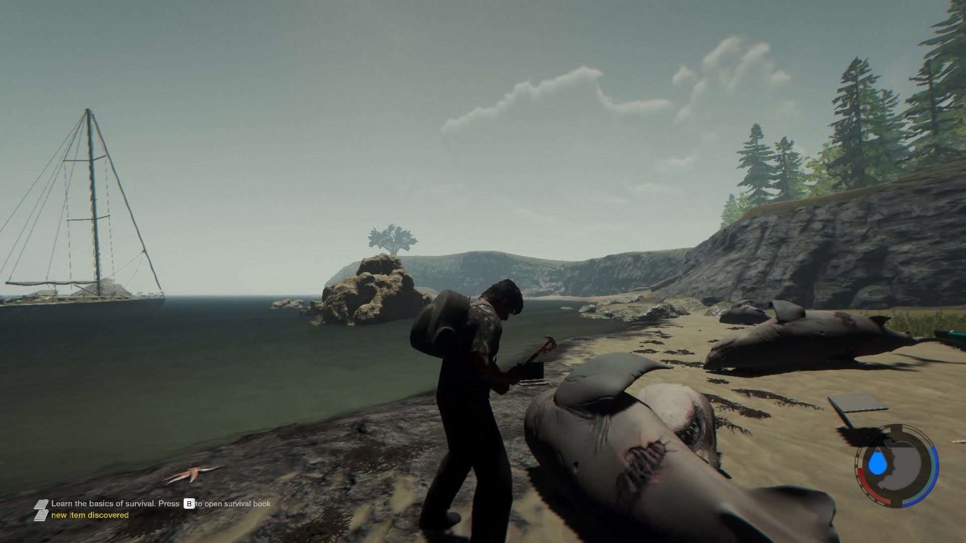 游戏森林2阵营攻略：轻松制胜之道