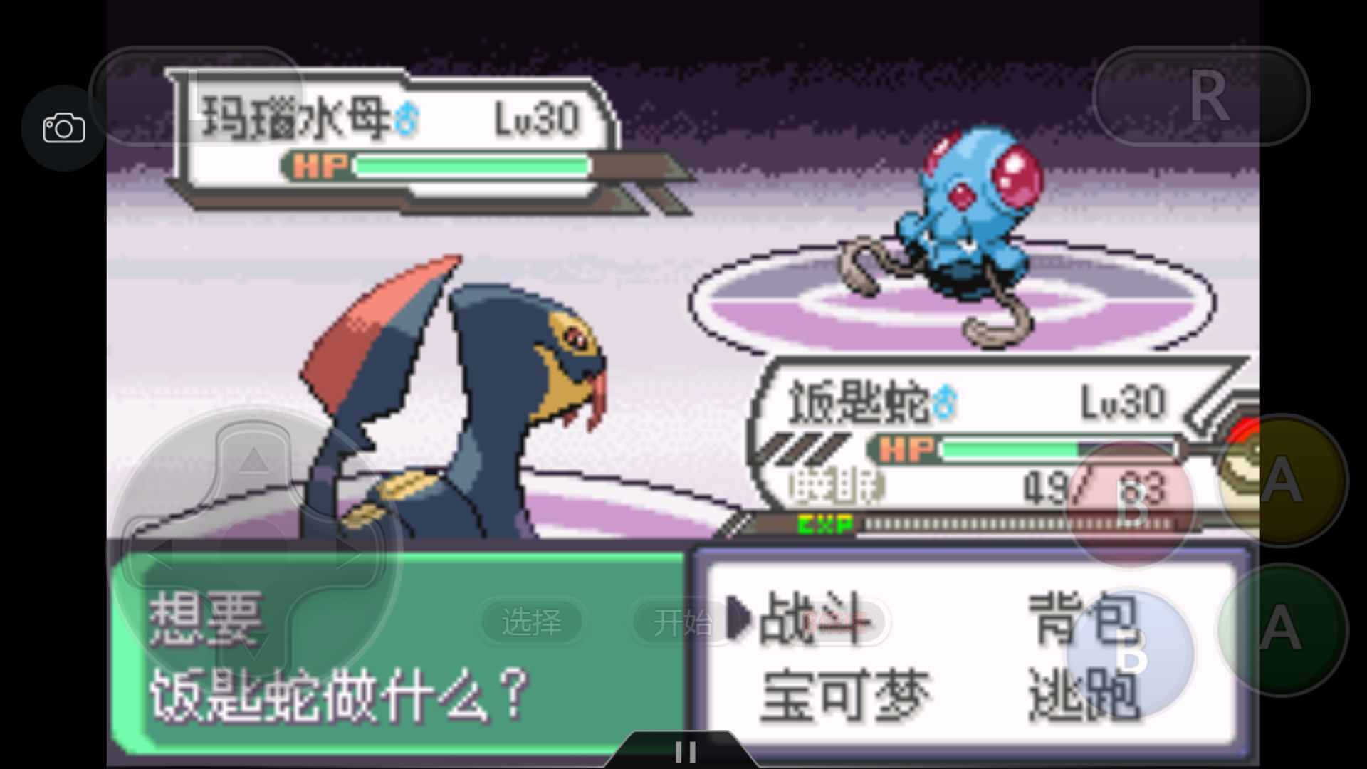 重温经典，口袋妖怪绿宝石386带你回味童年的冒险之旅！