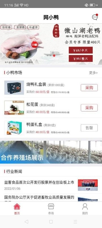 网小鸭