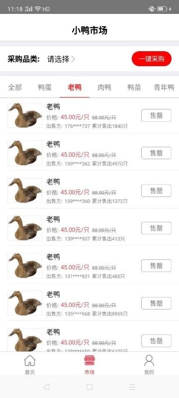 网小鸭