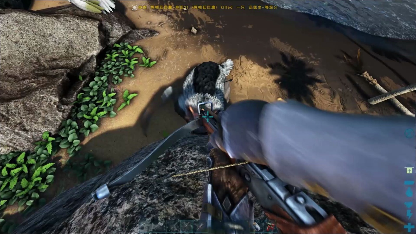 手游怪兽冲刺攻略,方舟生存进化手游无齿翼龙如何冲刺