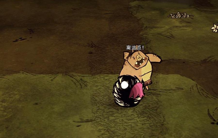 荒岛金币游戏攻略视频,饥荒海滩金币怎么得