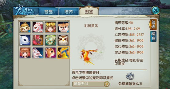 诛仙手游青云宠物如何加点
