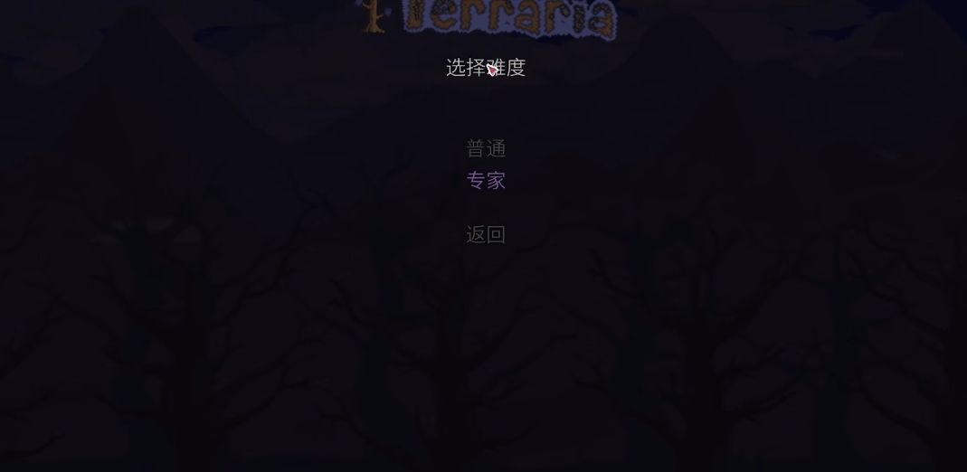 泰拉瑞亚专家有什么不同