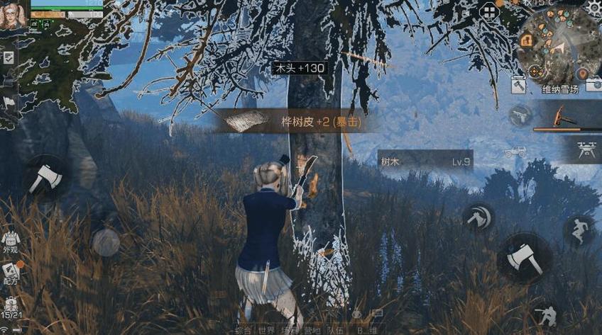 明日之后5级庄园需要什么材料