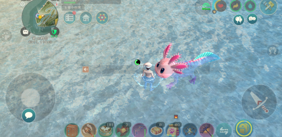 创造与魔法钓鱼带什么宠物合适