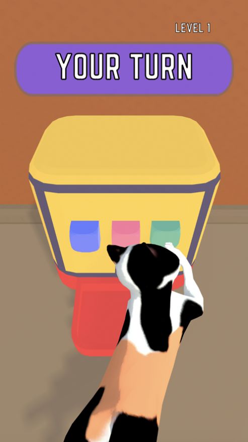 猫主子与铲屎官