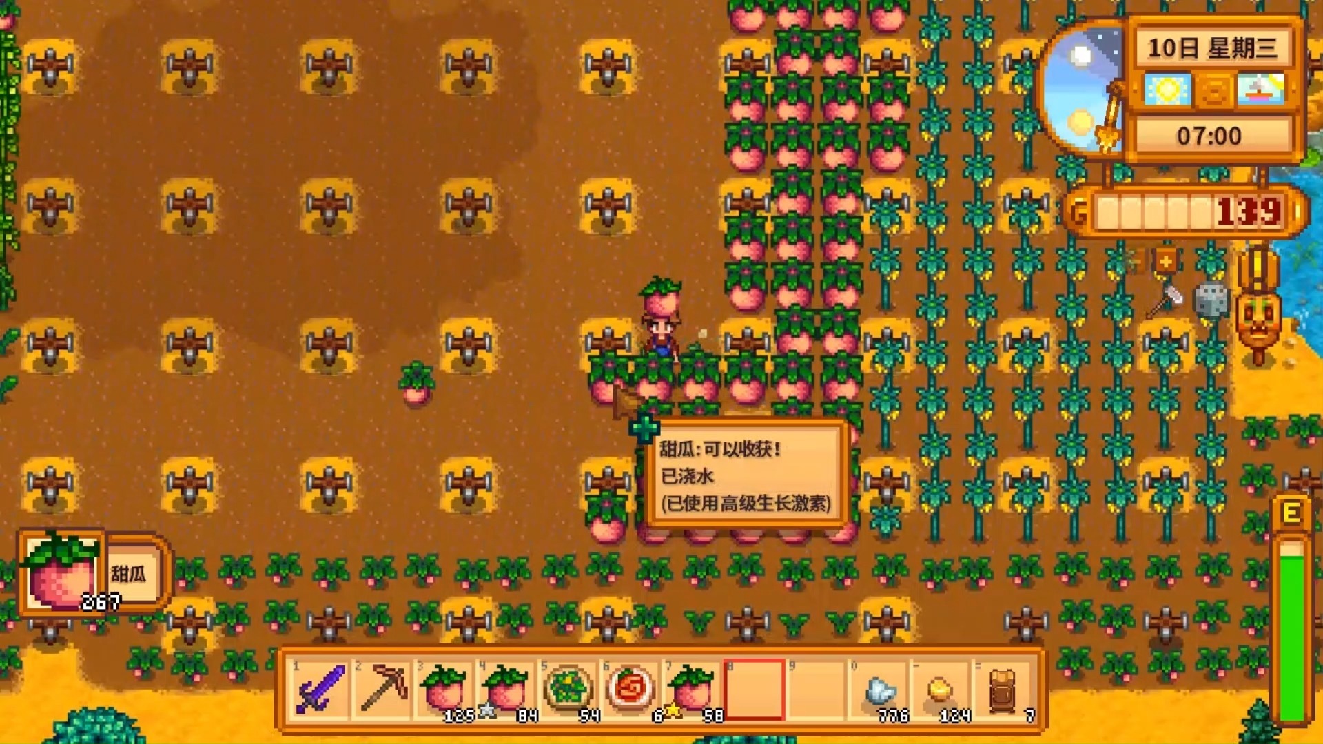 星露谷物语能种植什么