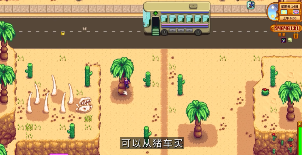 星露谷物语椰树怎么种