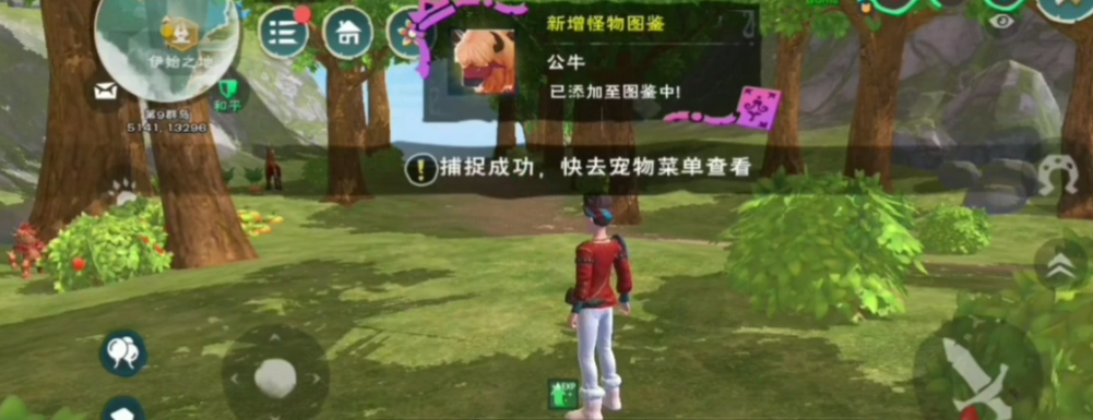 创造与魔法驯服宠物需要什么道具
