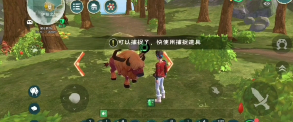 创造与魔法驯服宠物需要什么道具