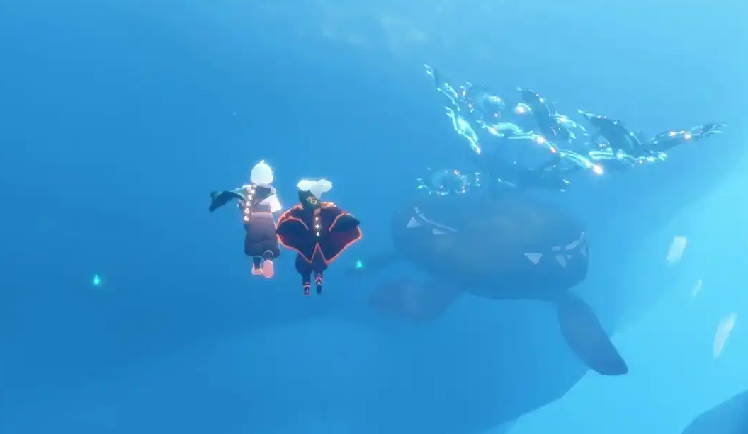 光遇里海怎么进去 光遇里海怎么进去