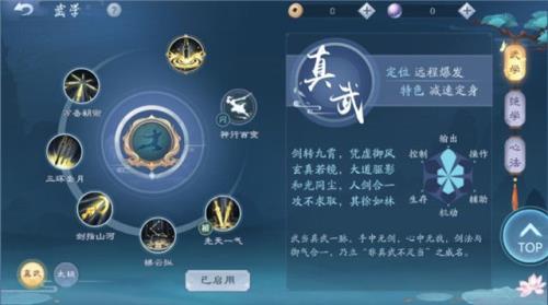 新笑傲江湖真武与太极选哪个