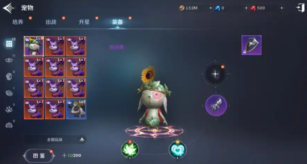 无神之界牧师带什么宠物 无神之界牧师带什么宠物