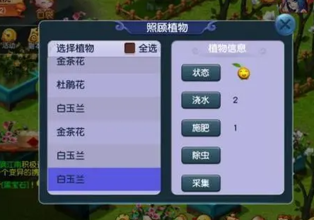 梦幻西游二级花给什么 梦幻西游二级花给什么