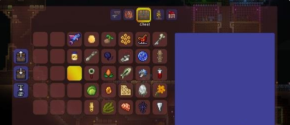 泰拉瑞亚宠物哪个好看 泰拉瑞亚宠物哪个好看