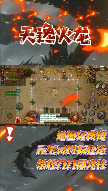 天逸火龙