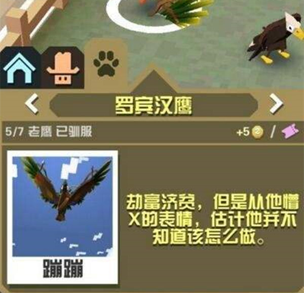 疯狂动物园小小强隐藏动物在哪