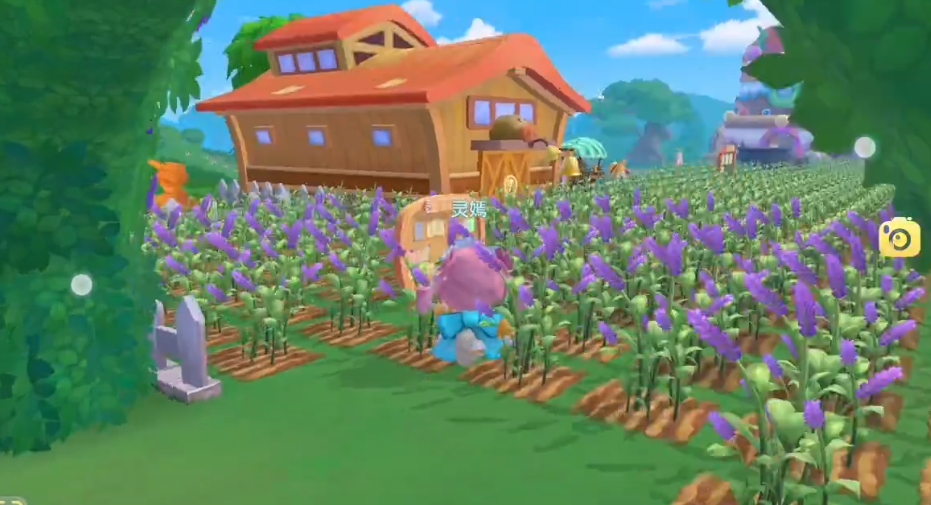 摩尔庄园怎薰衣草怎么种 摩尔庄园怎薰衣草怎么种