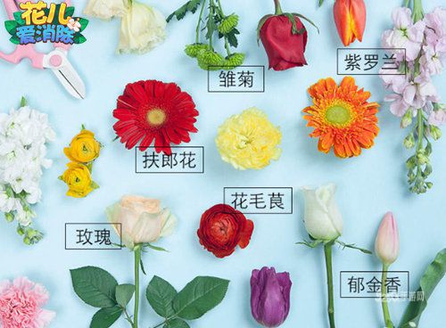 《花儿爱消除》今日全平台上线！一起经营小确幸